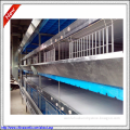 High quality layer chicken cage for chicken farm for sri lanka